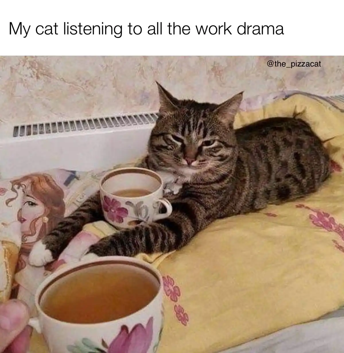 A tabby cat with a bored, unimpressed expression lies on a yellow floral blanket next to two teacups, one of which is being…