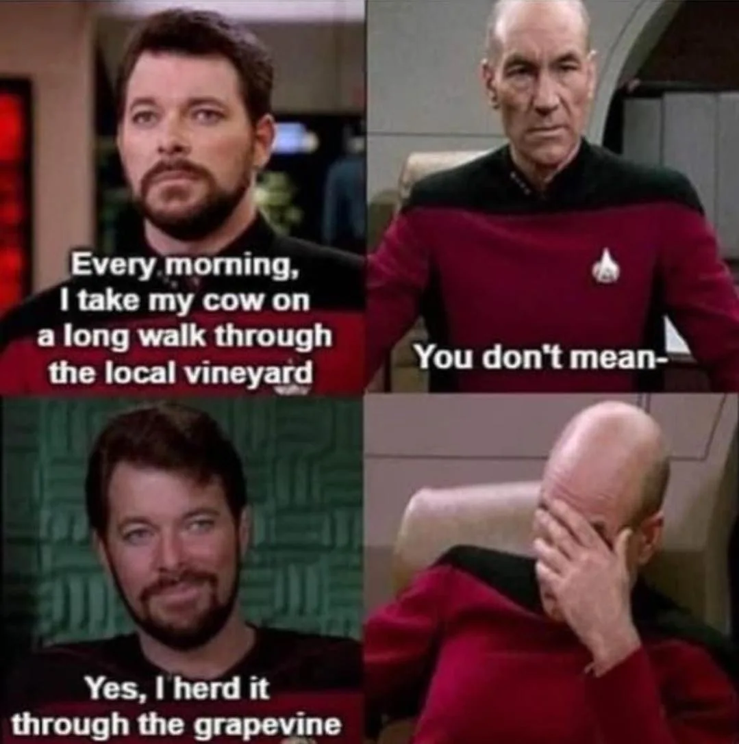 A four-panel meme featuring Star Trek characters. Top left: a man in a red uniform says 'Every morning, I take my cow on a…