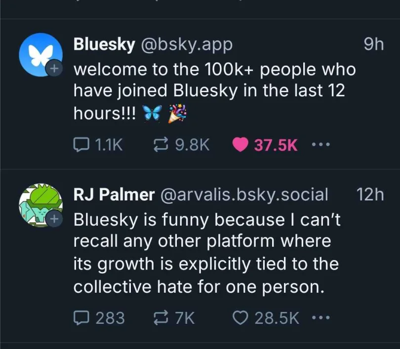 A screenshot of two Bluesky social media posts. The top post from 'Bluesky @bsky.app' announces 100k+ new users in 12 hours…