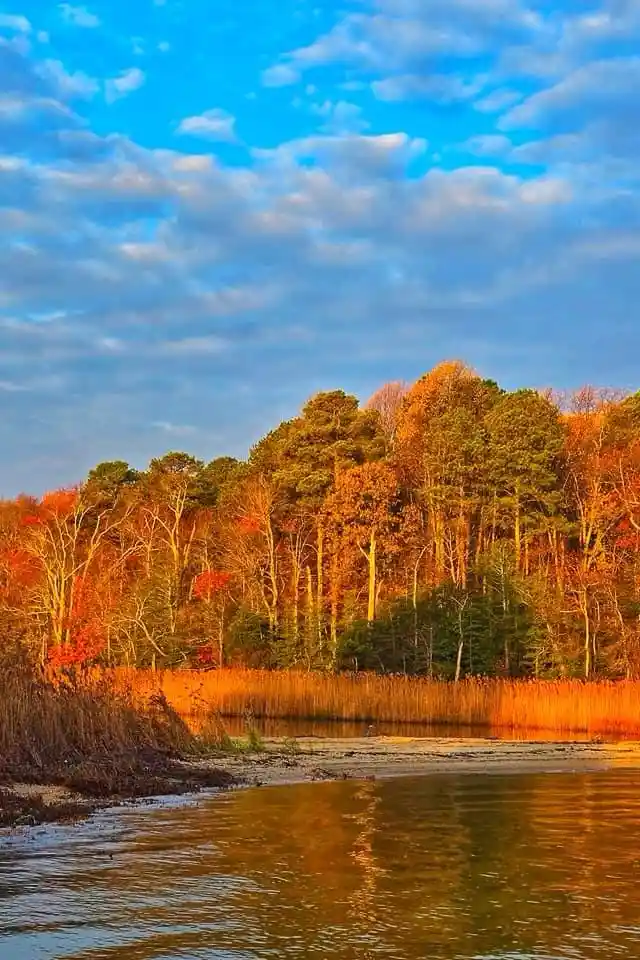 A serene autumn landscape featuring a calm body of water reflecting vibrant orange and red foliage along a shoreline, with a…