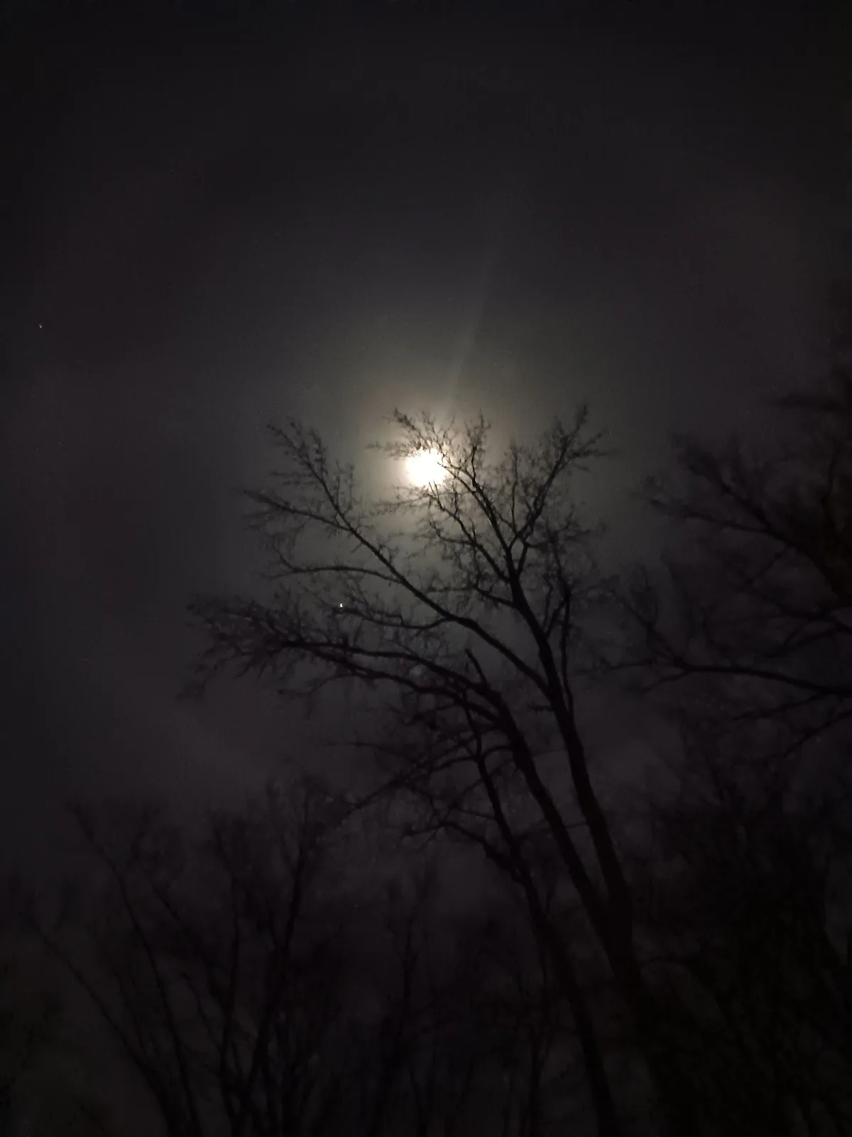 A Stunning Maryland Sky: Captured on a Friday Night, December 13, 2024