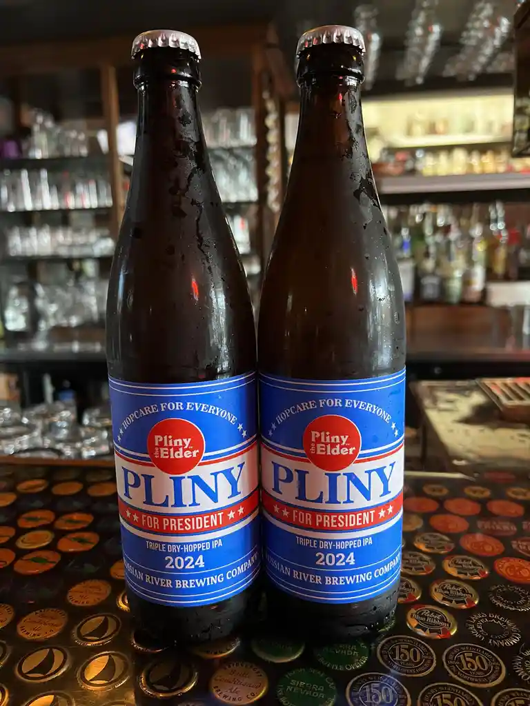Two chilled bottles of Russian River Brewing Company's 'Pliny the Elder' 2024 Triple Dry-Hopped IPA sit side-by-side on a…