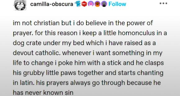 A screenshot of an Instagram post by 'camilla-obscura' showing a text caption that humorously claims the user keeps a…