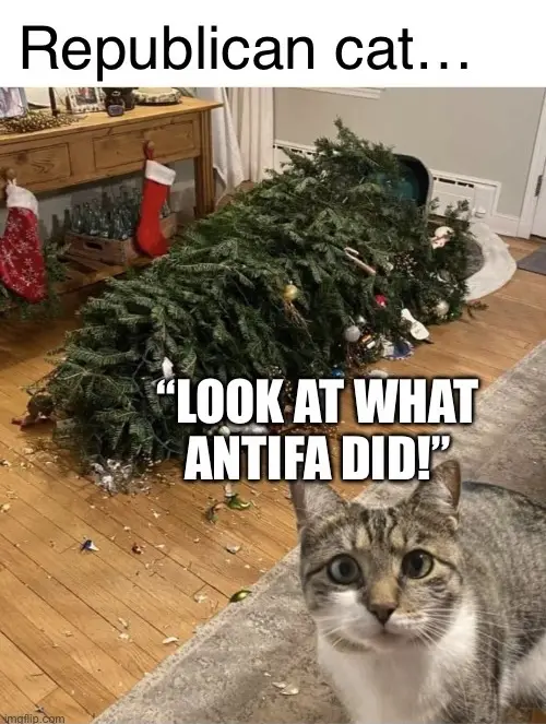 A tabby cat with wide eyes stares at the camera from the foreground, while behind it, a Christmas tree lies completely…
