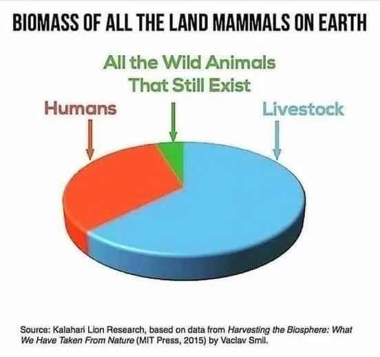 A 3D pie chart titled 'BIOMASS OF ALL THE LAND MAMMALS ON EARTH' shows three segments: a large blue section labeled…