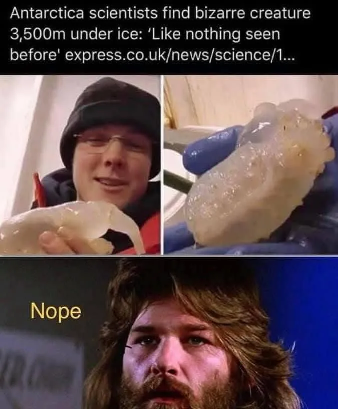 The meme features a split image: top left shows a smiling scientist holding a translucent, gelatinous creature; top right…
