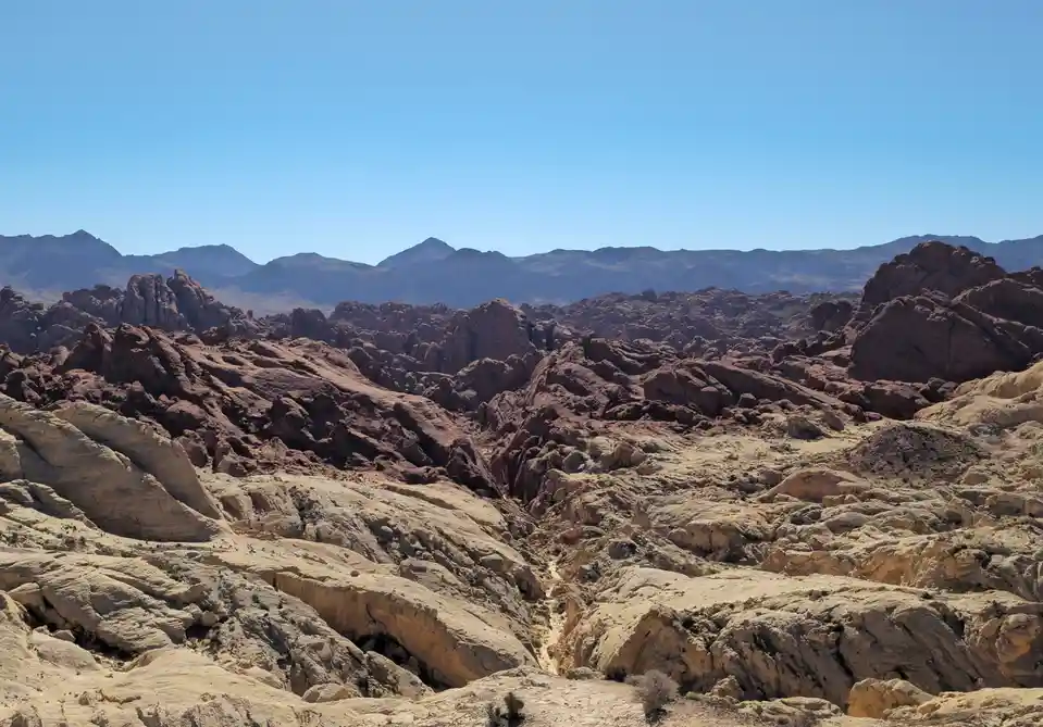 A wide-angle photograph of a sunlit desert canyon with layered red and beige rock formations under a clear blue sky. The…