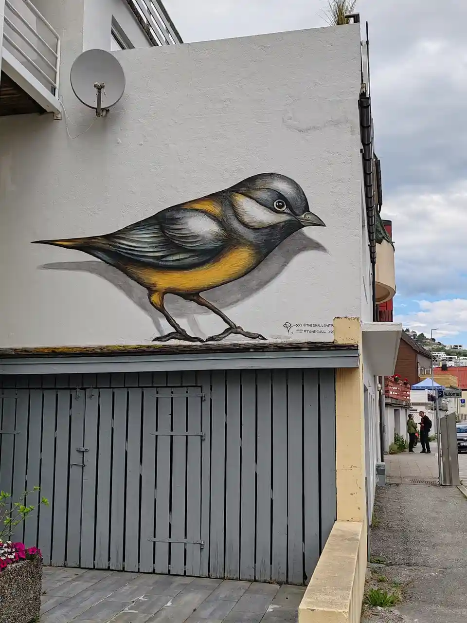 A realistic mural of a small bird with grey, yellow, and white plumage is painted on the white wall of a building, appearing…