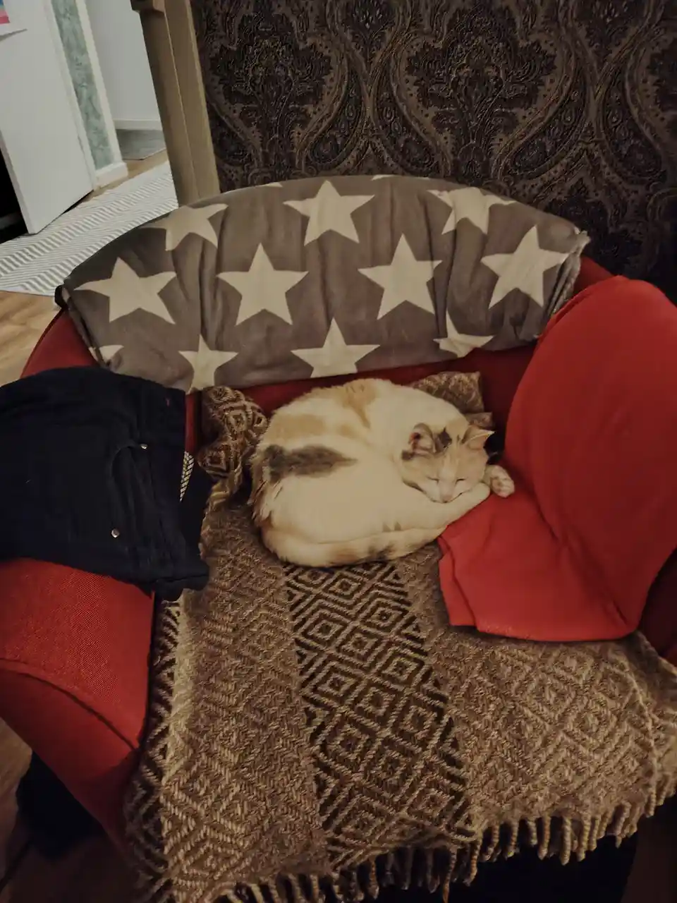 A calico cat is curled up and sleeping soundly on a red armchair covered with blankets, including a star-patterned one. A…