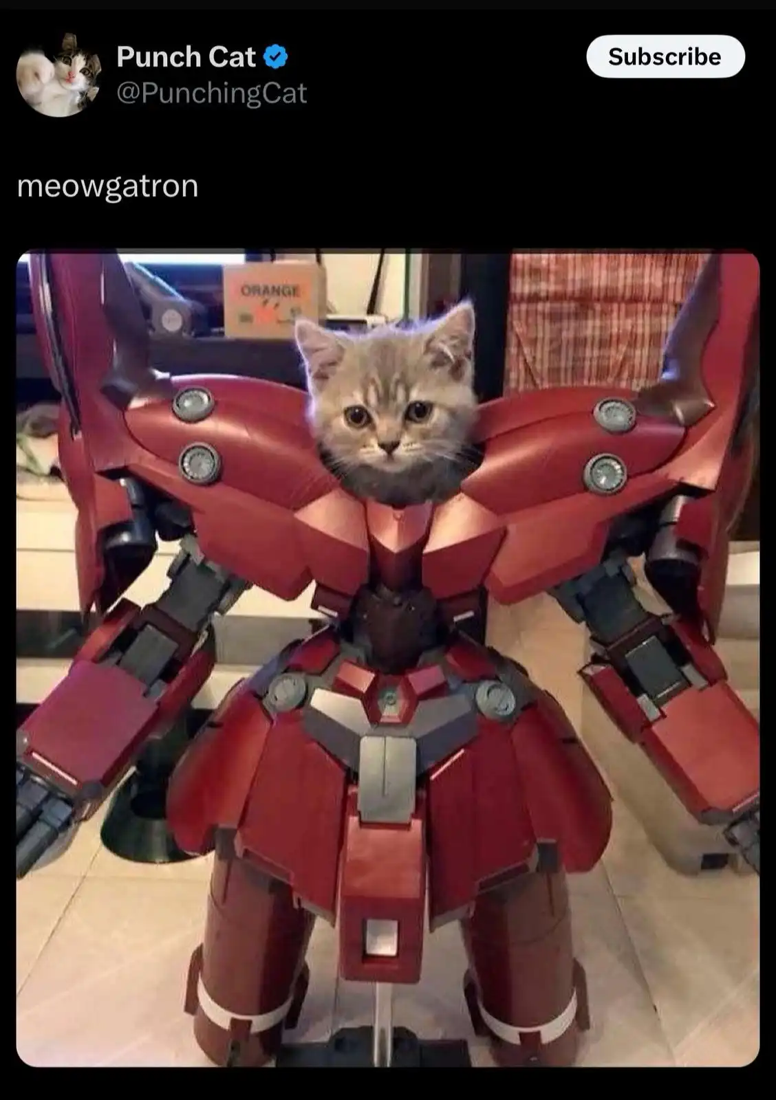 A small tabby kitten is peeking out from the chest of a red and silver robot suit, resembling a mecha or Gundam. The image…