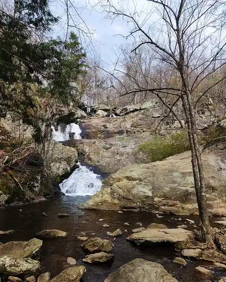 A serene natural scene featuring a small waterfall cascading over mossy rocks in a forest with bare-branched trees and…