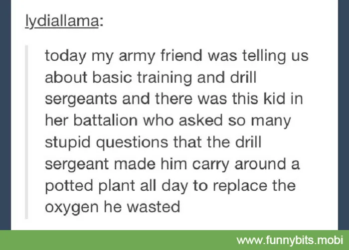 A screenshot of a text message from 'lydia llama' describing a story about an army friend who recounts how a recruit asked…