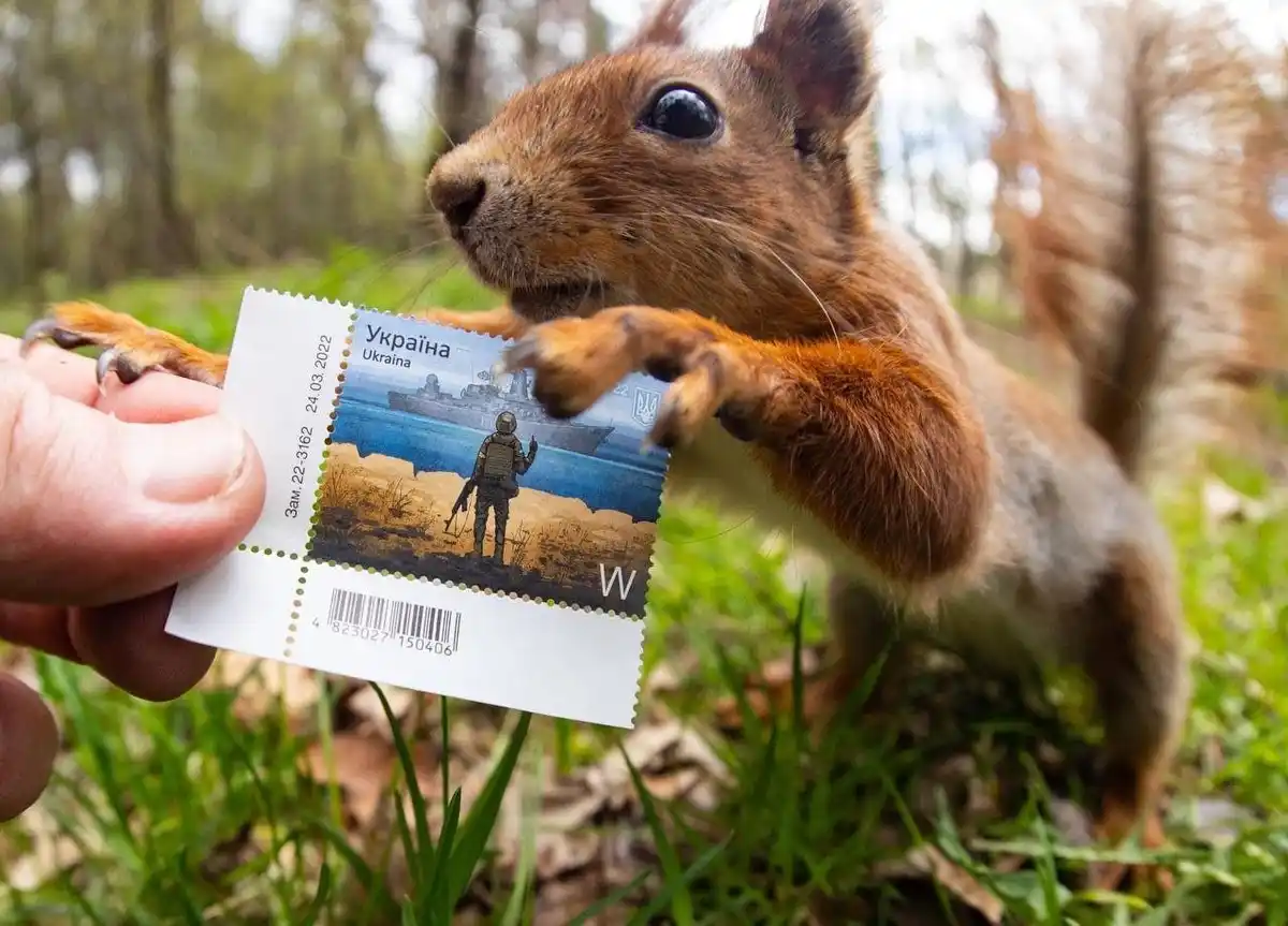 A close-up photo shows a red squirrel with large dark eyes and fluffy tail, holding a Ukrainian postage stamp with its paws…