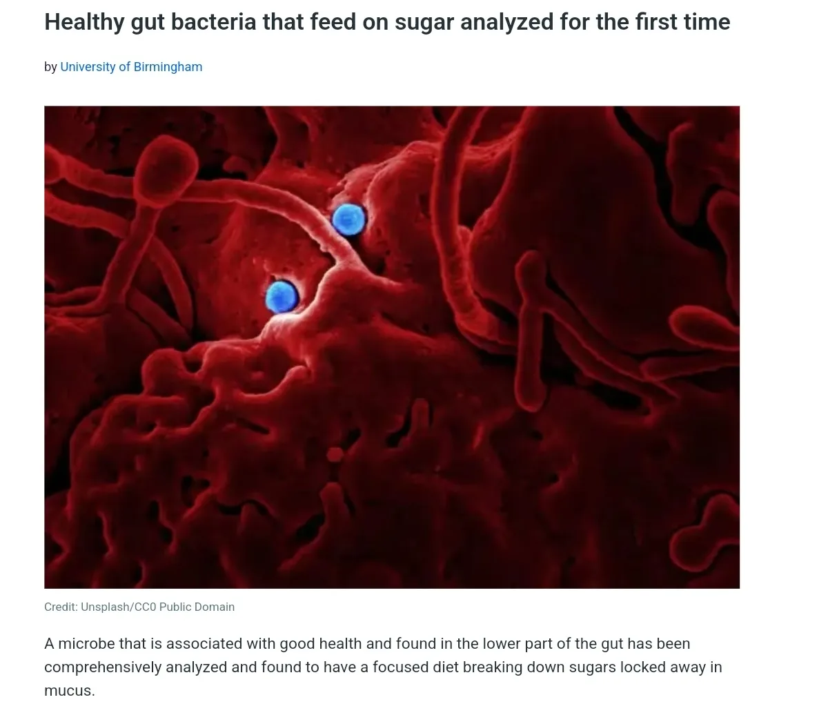 A scientific image shows red, textured gut lining with two glowing blue spheres representing bacteria. The overlaid text…