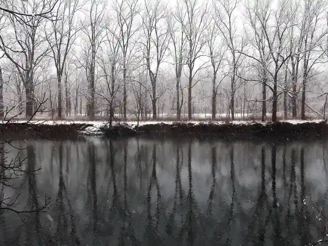 Embracing the Chill of Winter