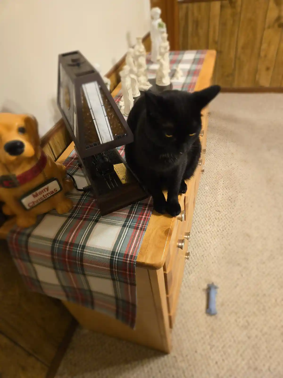 A black cat sits atop a wooden dresser covered with a plaid cloth, looking down with a stern expression. Beside it is a…