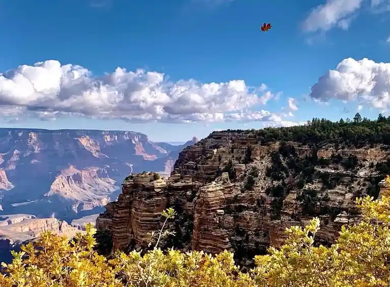 A scenic photograph of the Grand Canyon under a bright blue sky with fluffy white clouds, featuring layered rock formations…