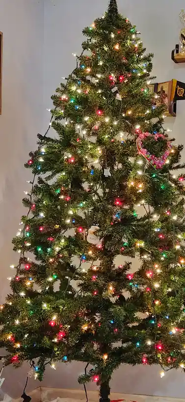 Our Christmas Tree is Up and Ready to Shine!