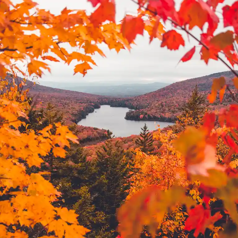 A scenic autumn landscape featuring a lake nestled between forested hills, framed by vibrant orange and red maple leaves in…