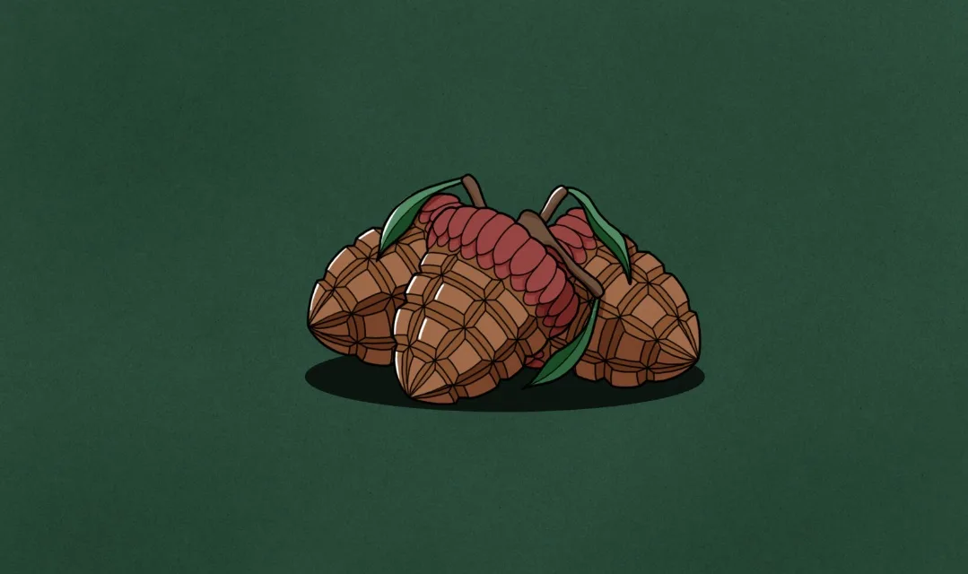 An illustration shows three brown, segmented, pinecone-like objects with red, segmented, worm-like creatures emerging from…