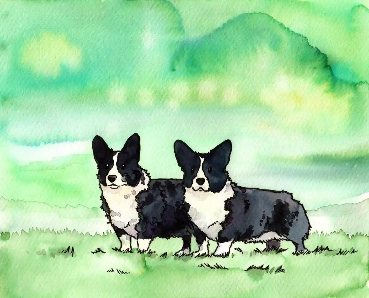A watercolor painting depicts two black-and-white corgis standing side-by-side in a grassy field under a greenish sky. The…