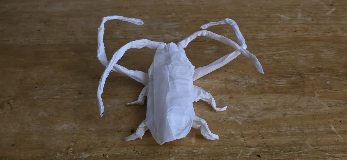 A crudely crafted spider made from a crumpled white plastic bag rests on a worn wooden surface. The text overlaid on the…