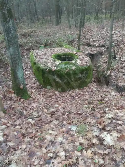 A moss-covered, circular concrete ring structure sits in a forest floor covered with fallen leaves, surrounded by bare…