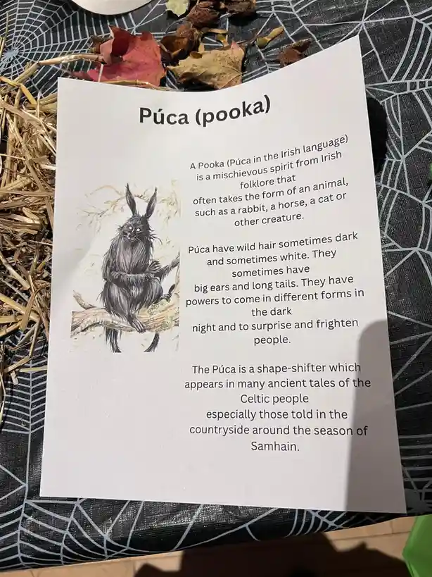 A printed informational card about the Púca (pooka), a mischievous Irish folklore spirit, is displayed on a black tablecloth…