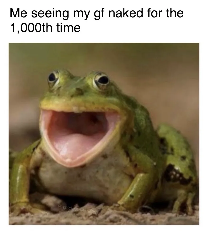 Frog Memes Galore Plus One Unexpected Surprise