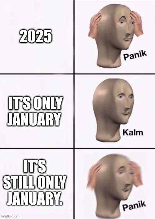 A four-panel meme using a mannequin head template. Top panel shows the head with hands on temples labeled 'Panik' under…