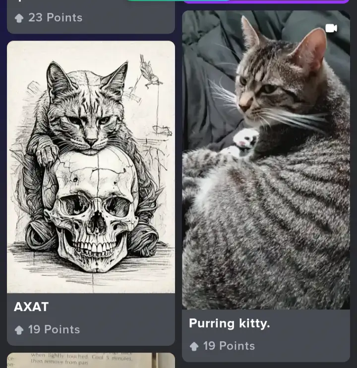 The image displays two side-by-side Reddit-style posts. The left post shows a detailed black-and-white sketch of a cat…