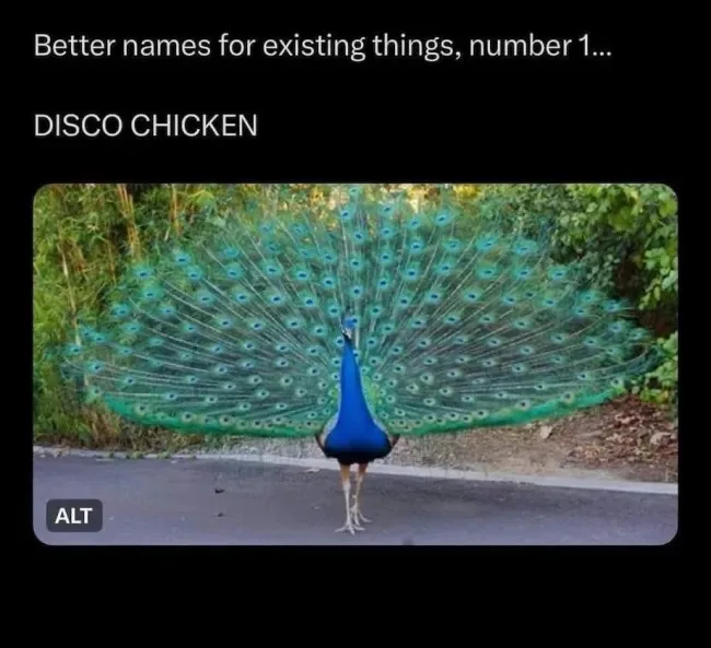 Absolutely...