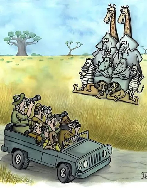 A cartoon depicts safari tourists in a jeep looking through binoculars at a stack of African animals including giraffes…