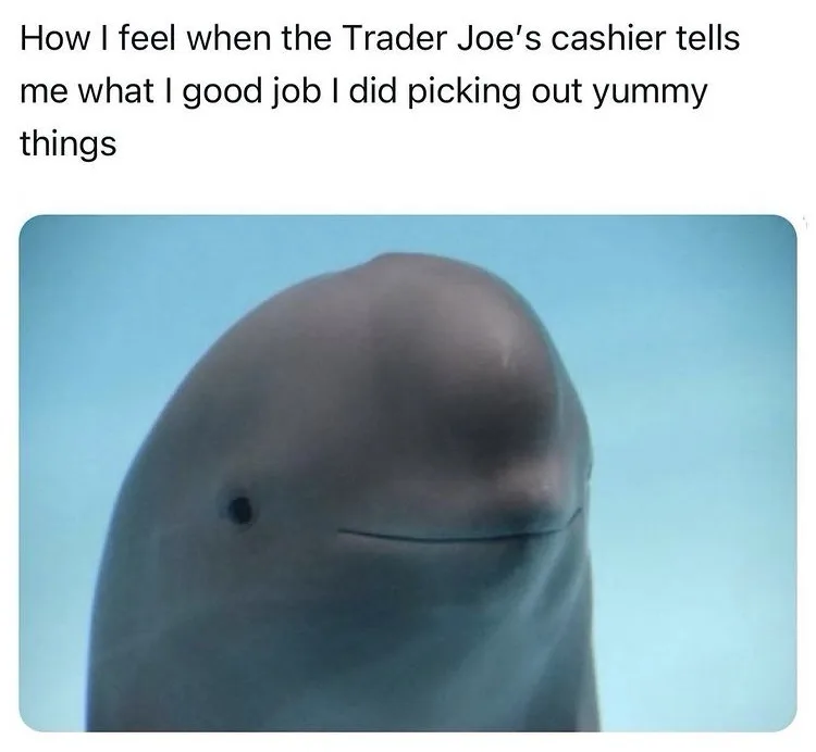 Your Late-Night Dose of Memes: Midnight Meme Dump