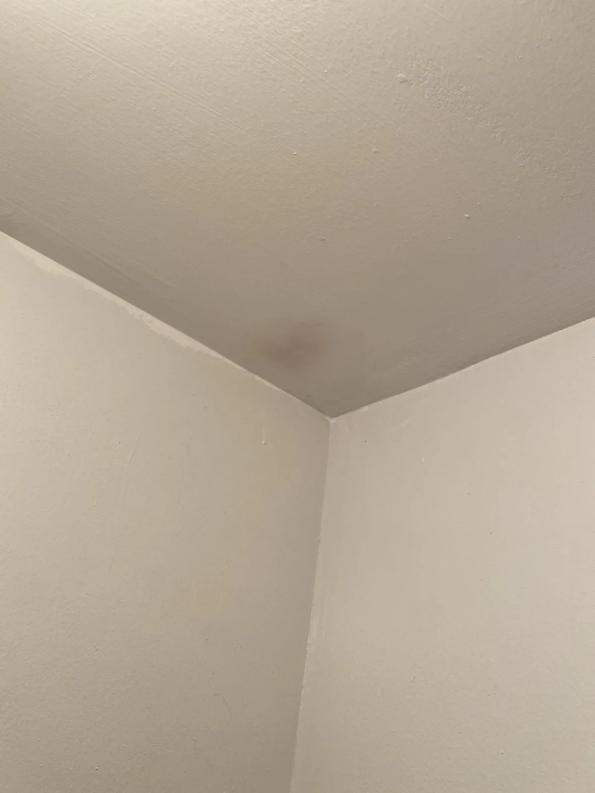 An Odd Mark That Caught My Eye