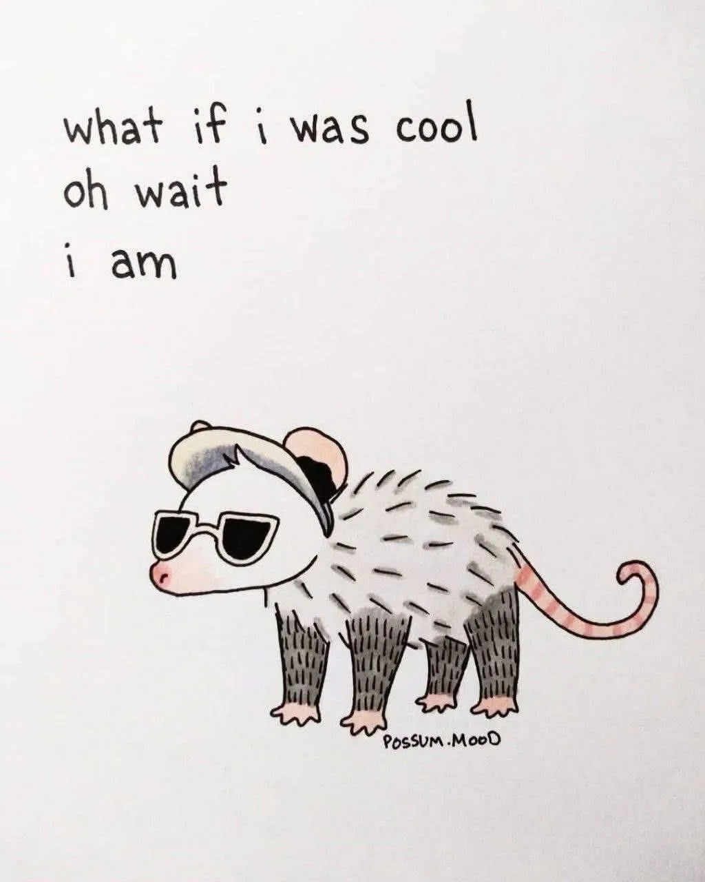 A cartoon drawing of a possum wearing sunglasses and a cap, standing confidently. Above it, text reads 'what if i was cool…