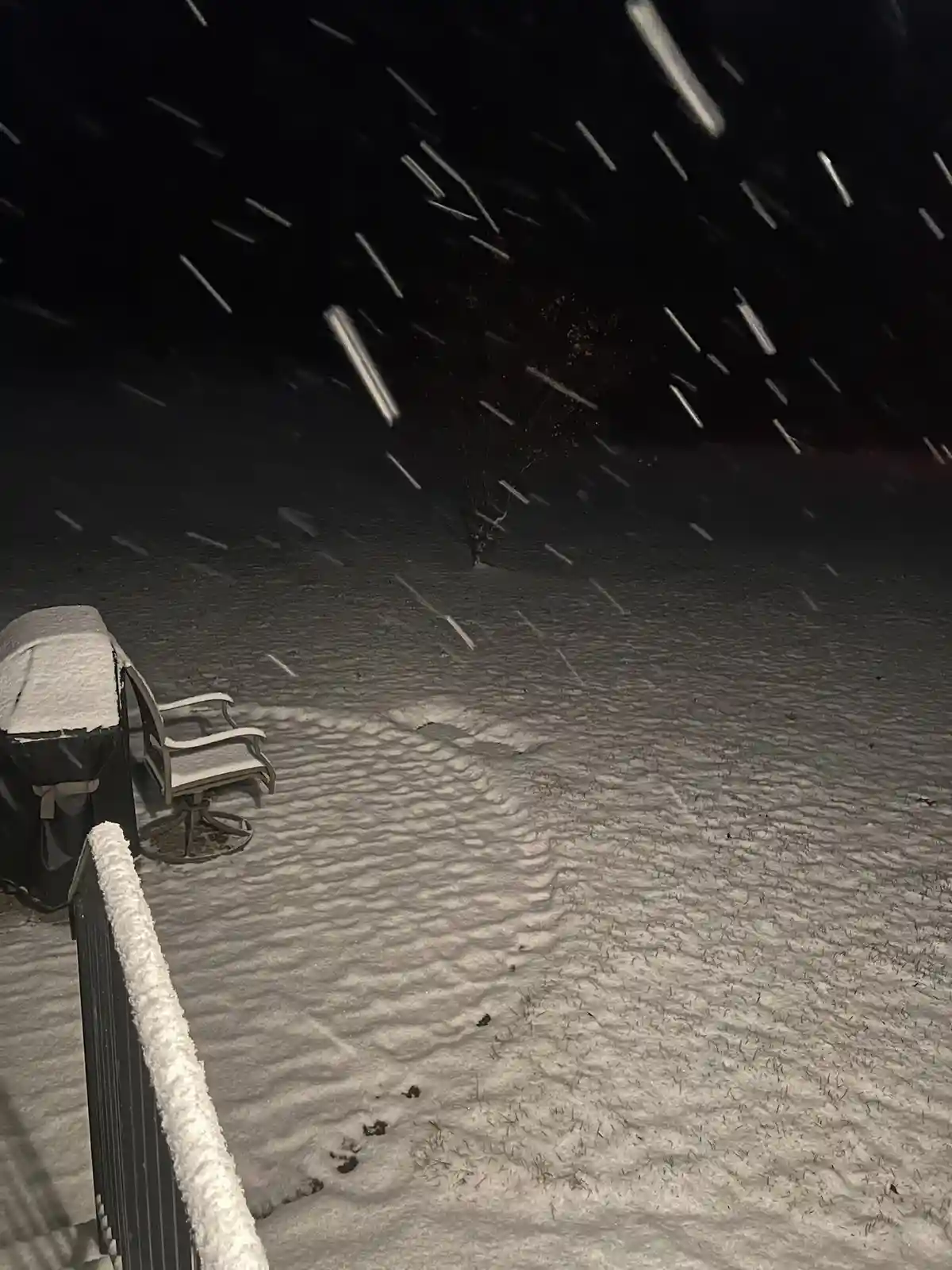 Longing for a Picture-Perfect White Christmas
