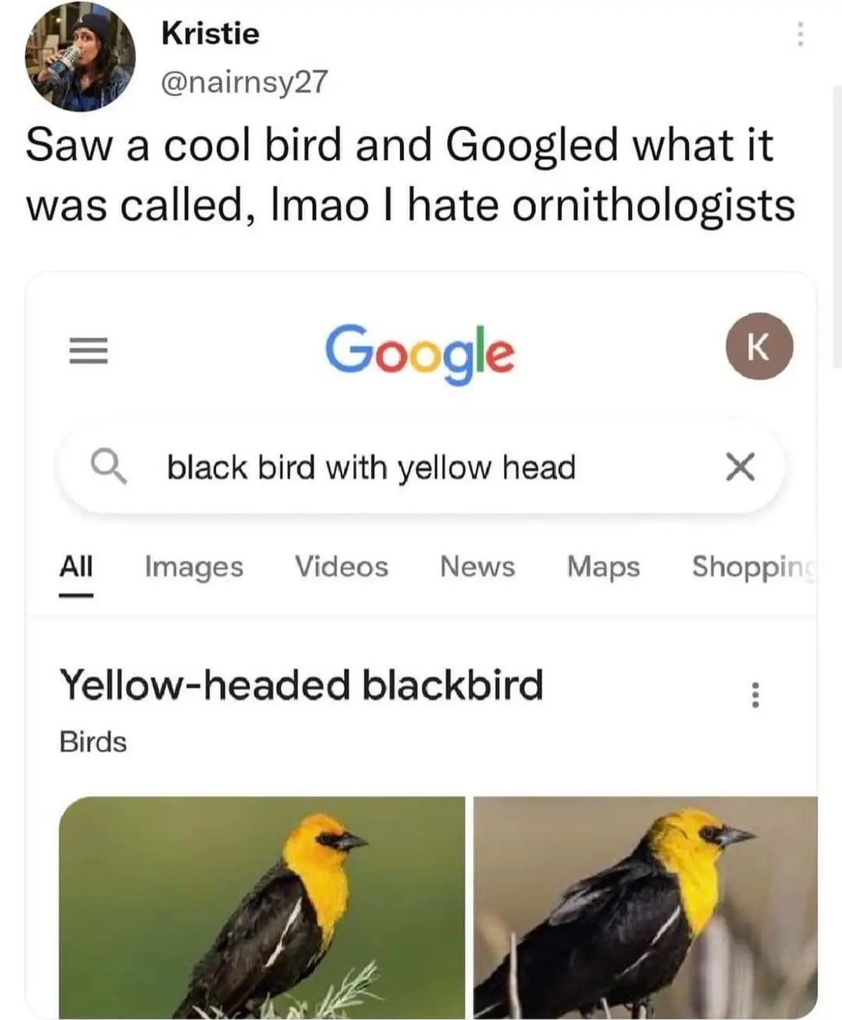 A screenshot of a Twitter post by Kristie (@nairnsy27) showing a Google image search for 'black bird with yellow head'…