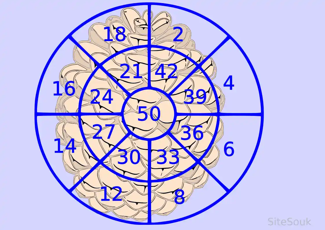 A diagram overlays a pinecone with concentric blue circles and radial lines, dividing it into segments labeled with numbers…