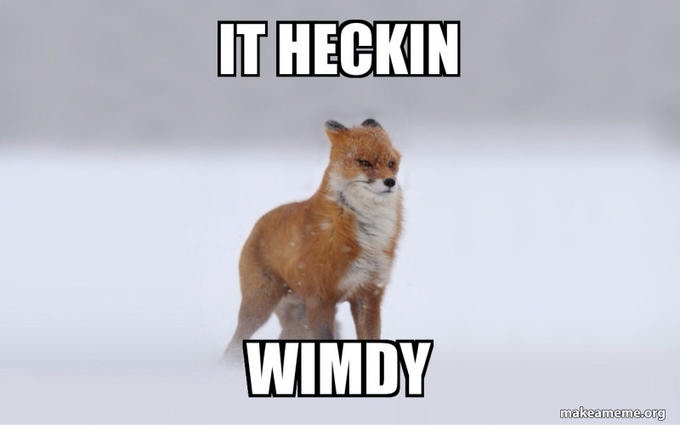 A red fox stands in a snowy landscape, looking slightly annoyed or unimpressed. Bold white text with black outlines reads…