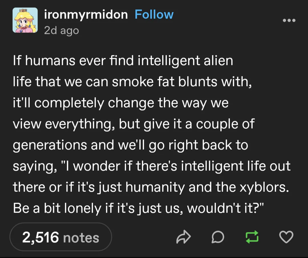 A screenshot of a Tumblr post by user 'ironmyrmidon' featuring white text on a dark background. The text humorously imagines…
