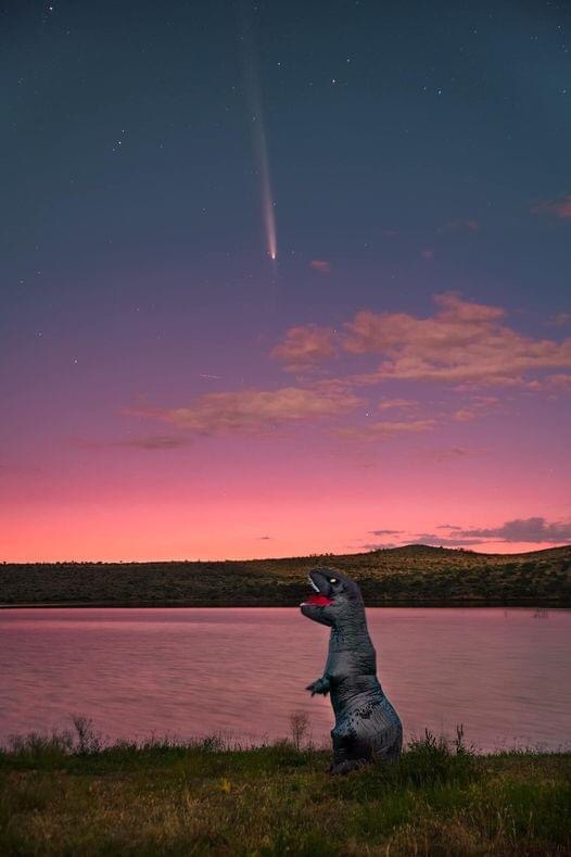 A person in a large, gray inflatable dinosaur costume stands on grass near a lake at twilight, looking up at a bright comet…