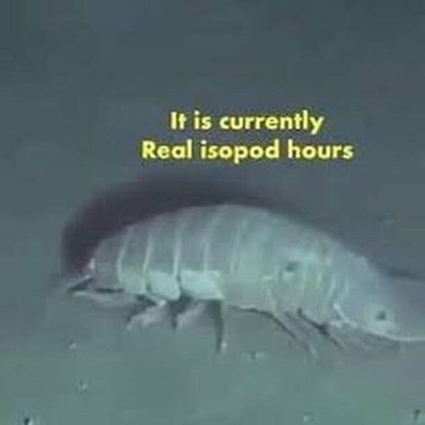 A grainy, low-resolution underwater image shows a pale, segmented isopod crawling across the ocean floor. Yellow text…