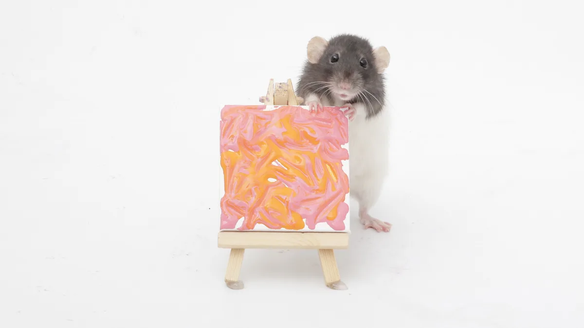 A gray and white rat stands behind a miniature wooden easel, holding a small canvas with abstract swirls of pink and orange…