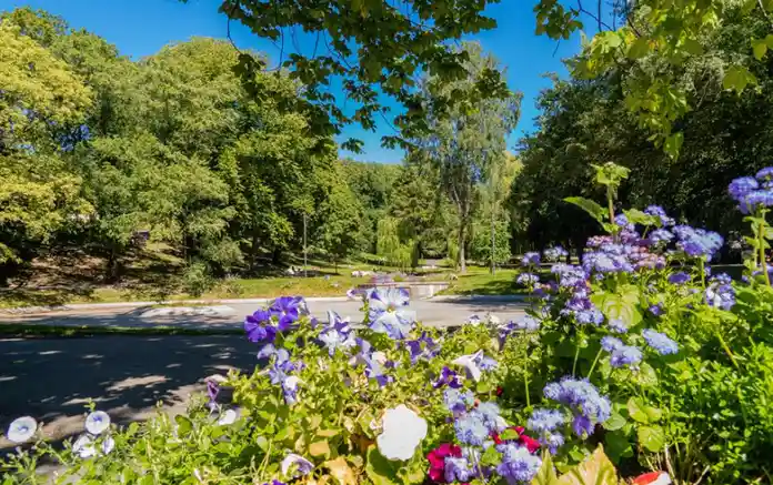 A bright, sunny park scene with lush green trees, a paved path, and vibrant purple and white flowers in the foreground…