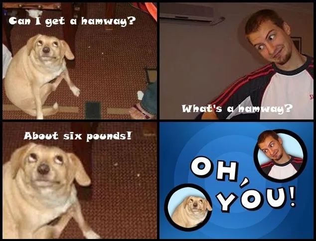 A four-panel meme featuring a light-brown dog asking for a 'hamway,' a man confused by the term, the dog clarifying it's…