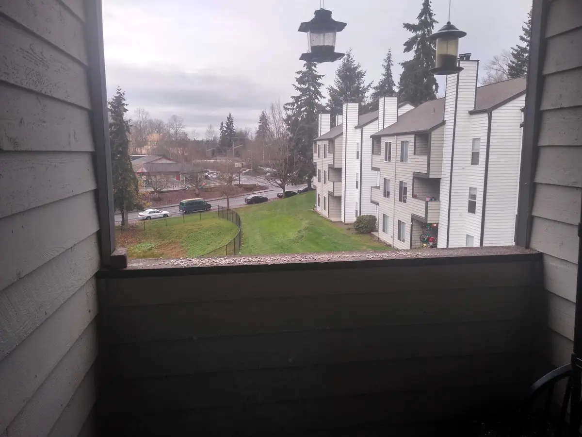 My Passion: Feeding the Birds
