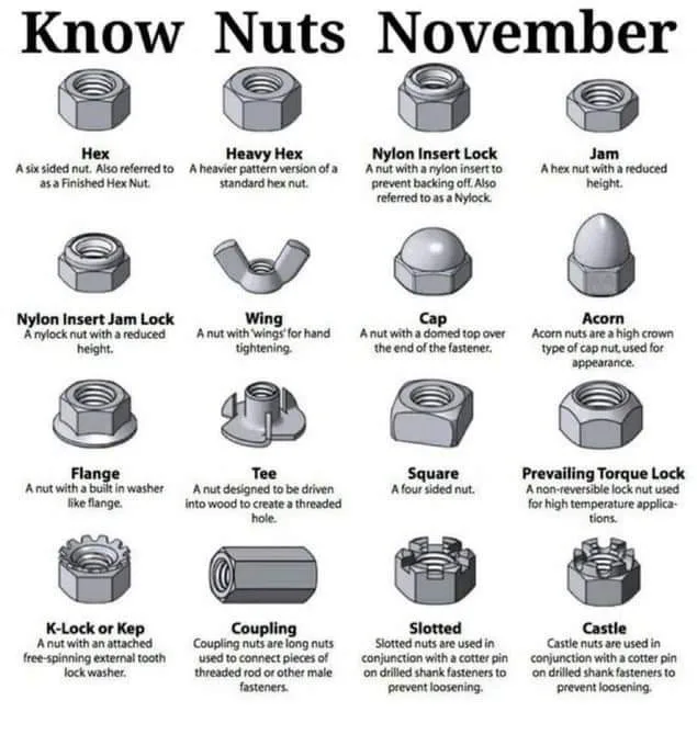 An infographic titled 'Know Nuts November' displays 16 different types of nuts with their names and descriptions. Each nut…