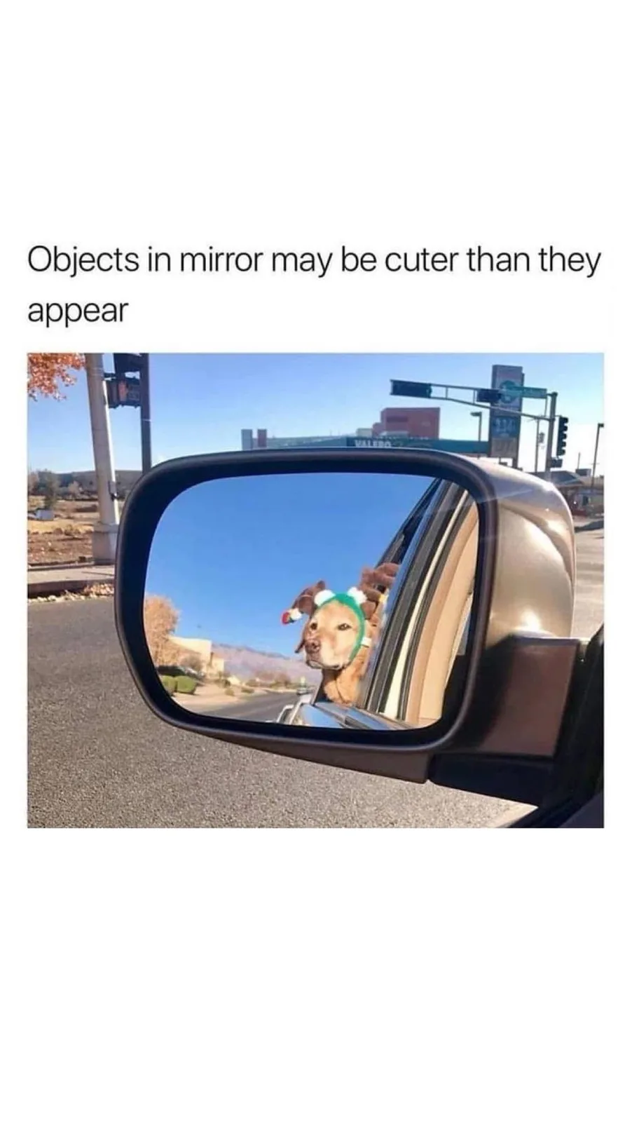 A car's side-view mirror reflects a dog with a green headband and reindeer antlers sticking its head out the passenger…