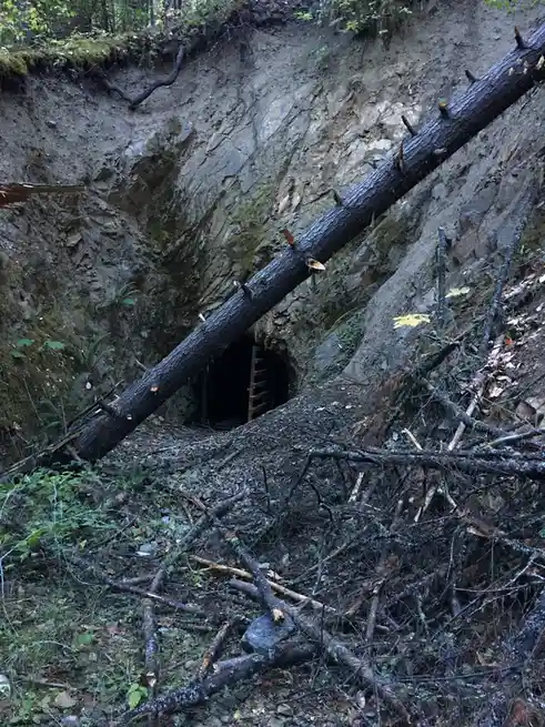 A large, dark cave entrance is visible in a forested, rocky hillside, partially blocked by a massive fallen tree trunk that…